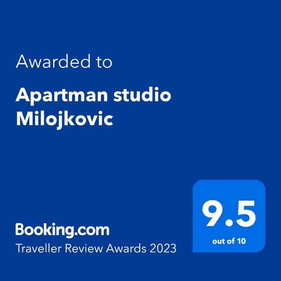 Apartman Studio Milojkovic Ґолубац Екстер'єр фото